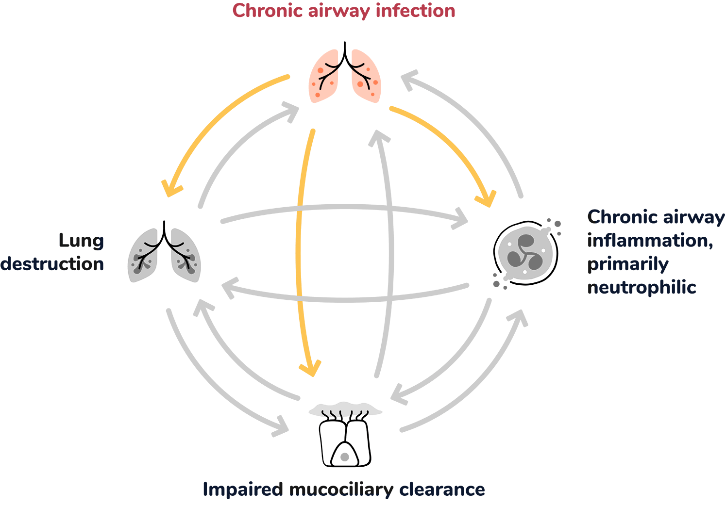 Chronic Airway Inflammation: An icon representing inflamed airways in the lungs