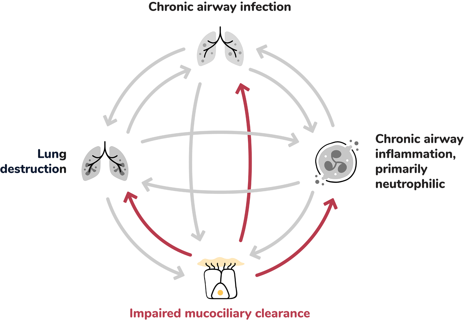 Impaired Mucociliary Clearance: An icon representing mucus buildup in the airways of the lungs