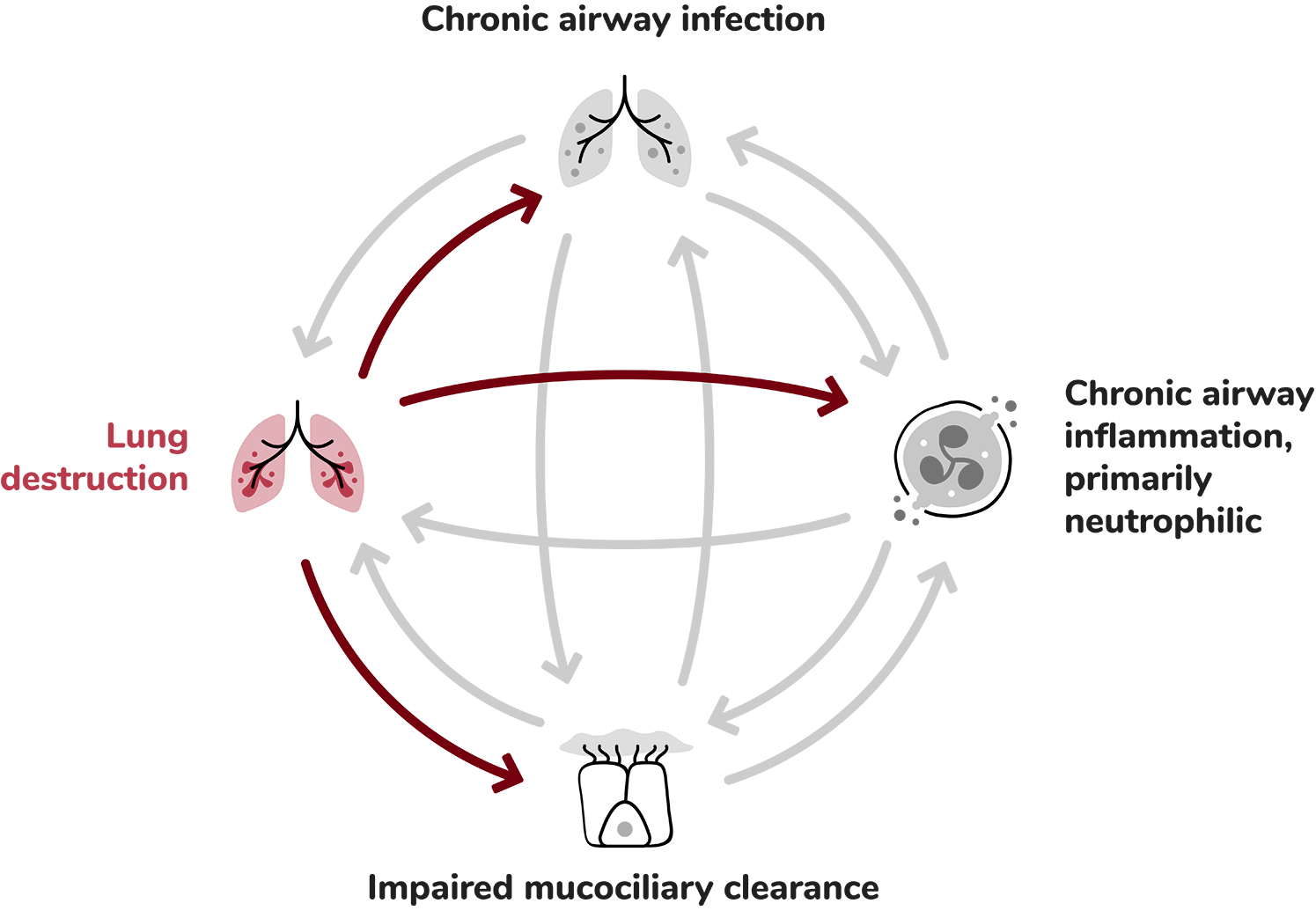 Lung Destruction: An icon representing damaged or scarred lung tissue