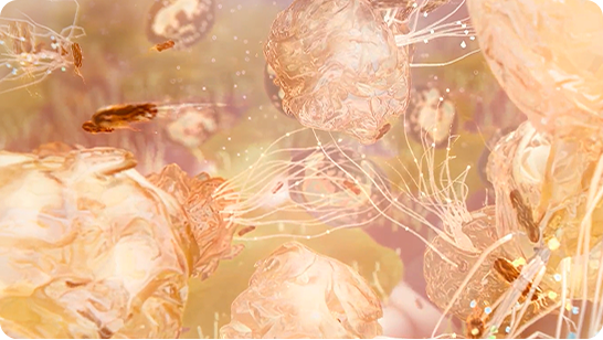 Illustrative graphic of neutrophils extending extracellular traps