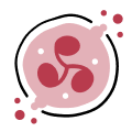 Chronic Airway Inflammation, Primary Neutrophilic: An icon representing inflamed airways in the lungs with an emphasis on neutrophils