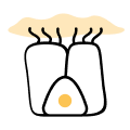 Lung Destruction: An icon representing damaged or scarred lung tissue