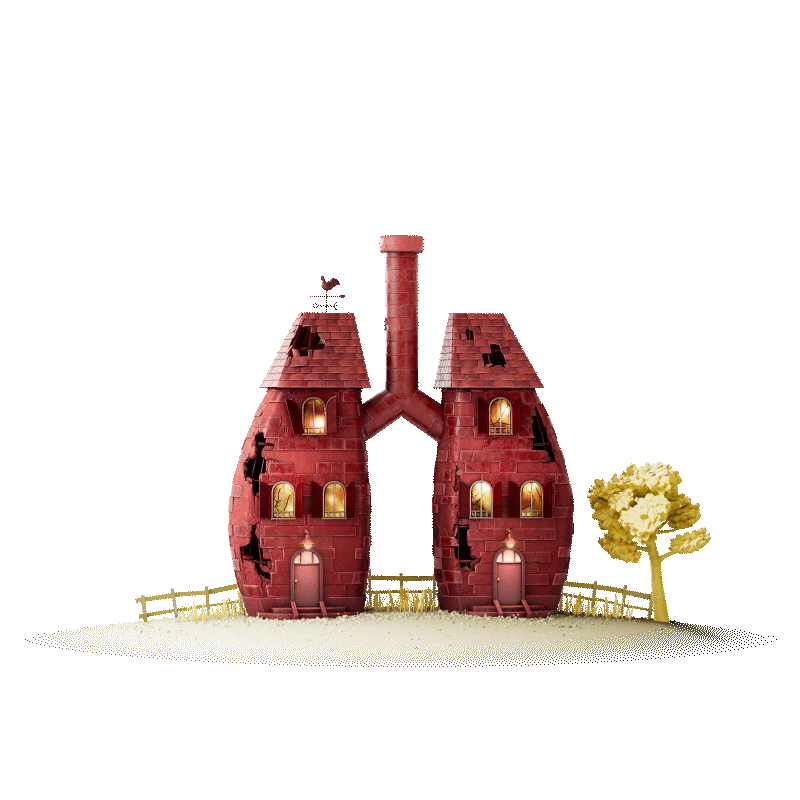 small house animation
